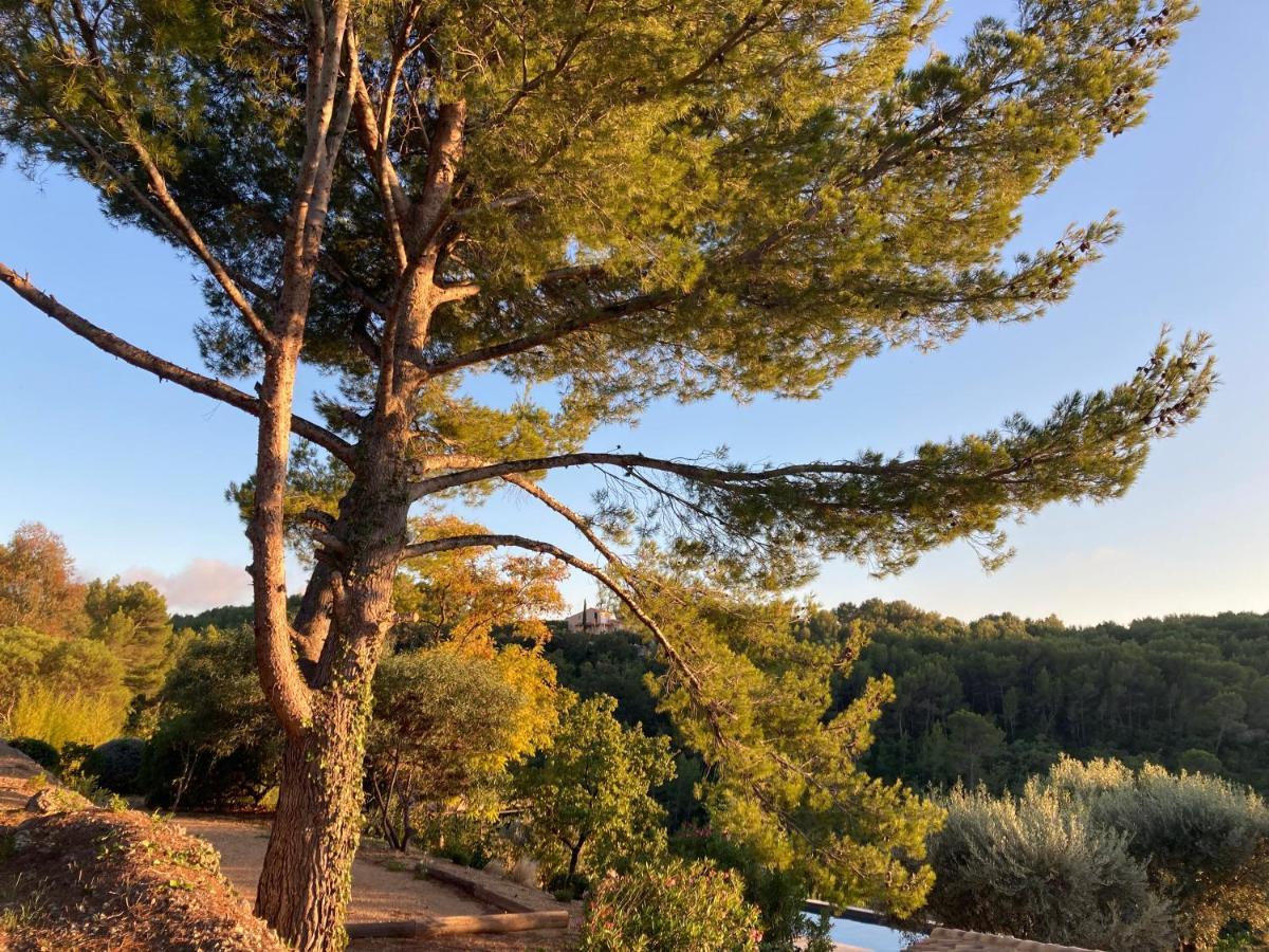 Castel'Lodge Le Beausset Dış mekan fotoğraf